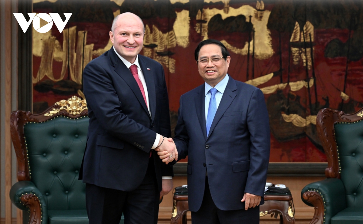 Vietnam and Russia seek stronger cooperation in emergency response